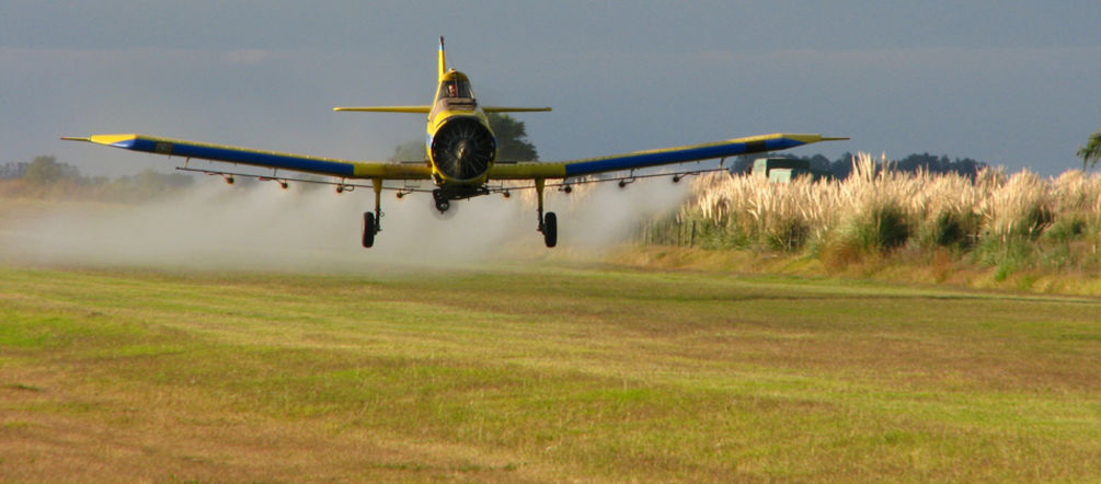 Un areo sparge il glifosato su vaste aree di terra in Nord e Sud America. Un aereo cosparge il glifosato in un campo coltivato