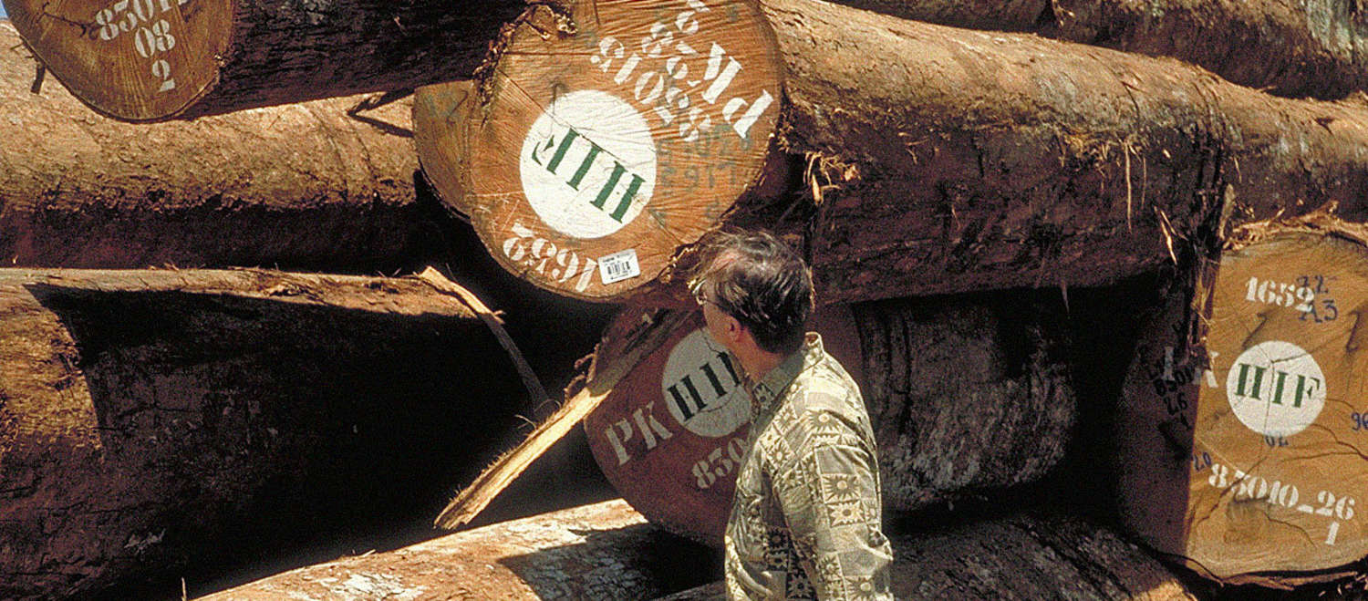 Tronchi di legno marchiati