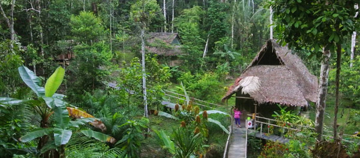 In mezzo alla foresta del Perù gli abitanti vogliono preservare la natura