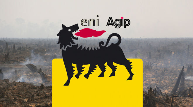 Carburante miscelato con olio di palma: le foreste tropicali vengono distrutte e sostituite con piantagioni di palma da olio Il biodiesel di ENI: le foreste tropicali vengono distrutte e sostituite con piantagioni di palma da olio