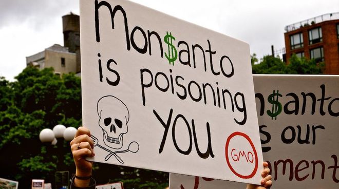 Monsanto è sinonimo di pesticidi e piante geneticamente modificate nei terreni agricoli Manifestazione Monsanto is poisoning you