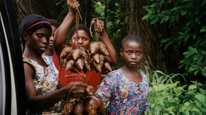 Le popolazioni della foresta di Cross River in Nigeria dipendono da essa Le donne del popolo Ekuri dipendono dalla foresta