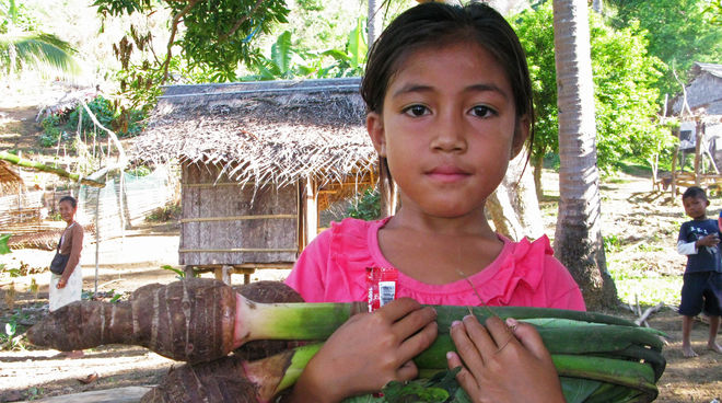 Le famiglie indigene di Palawan coltivano frutta e verdura in piccoli giardini nella foresta Una bambina di Palwan ha tra le braccia il Taro, un vegetale locale, e sullo sfondo si intravede il villaggio