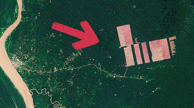 Deforestazione per implementare piantagioni di palma da olio. Foto: NASA Deforestazione in Perú