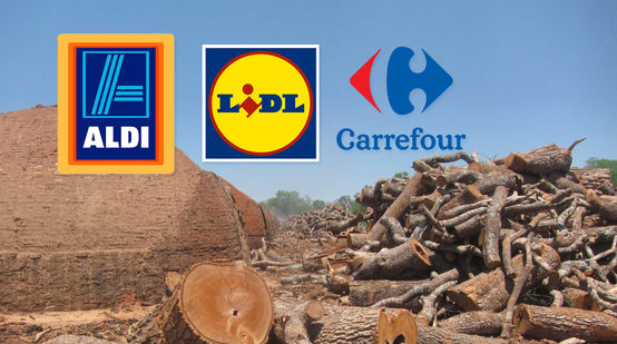Forno primitivo per la produzione di carbone, e tronchi di alberi abbattuti nel Chaco paraguaiano