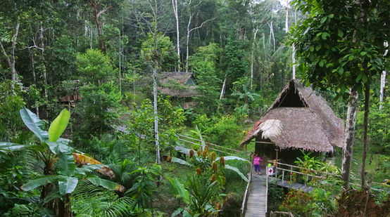 In mezzo alla foresta del Perù gli abitanti vogliono preservare la natura