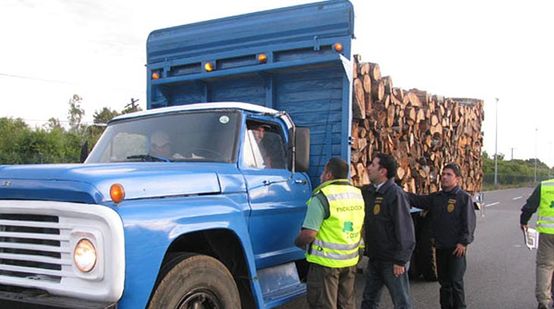 Tre agenti di polizia , hanno fermato un grande camion carico di legname per ispezionarlo