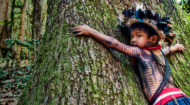 Bambino del popolo Paiter Surui del Brasile abbraccia un albero nella foresta Amazzonica