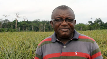 Odey Oyama in una piantagione di ananas/ananá nel Parco Nazionale di Cross River in Nigeria