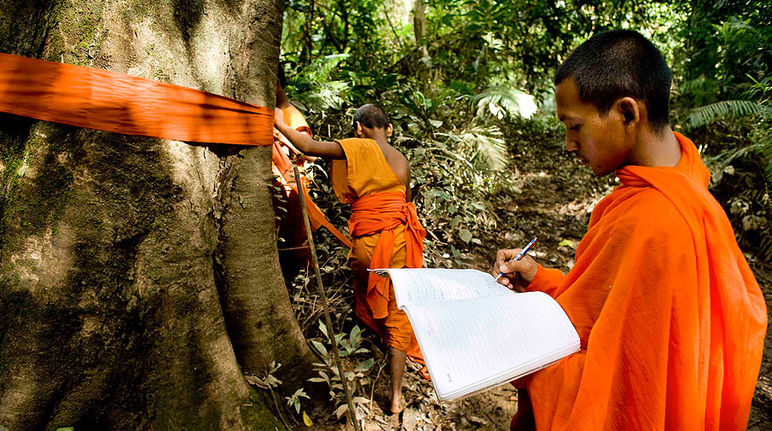 Un monaco segnala un tronco e un altro lo cataloga