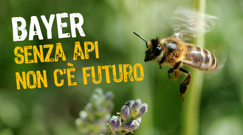Senza api non c'è futuro Un'ape in volo