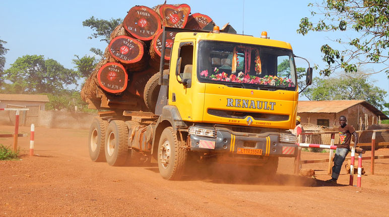 Un camion trasporta il legname per l' esportazione illegale