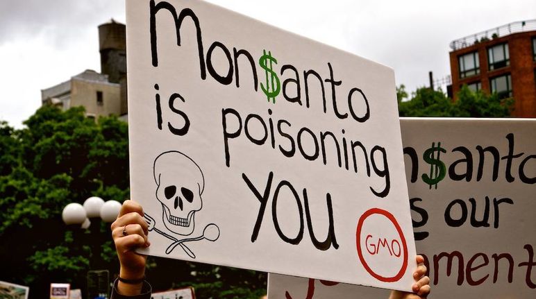 Monsanto è sinonimo di pesticidi e piante geneticamente modificate nei terreni agricoli Manifestazione Monsanto is poisoning you