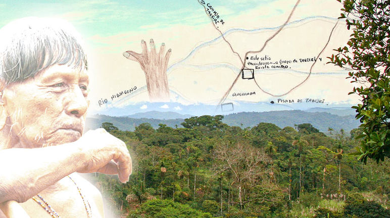 Alcuni popoli indigeni vivono in isolamento volontario Indigeni in isolamento volontario nell'Amazzonia equatoriana