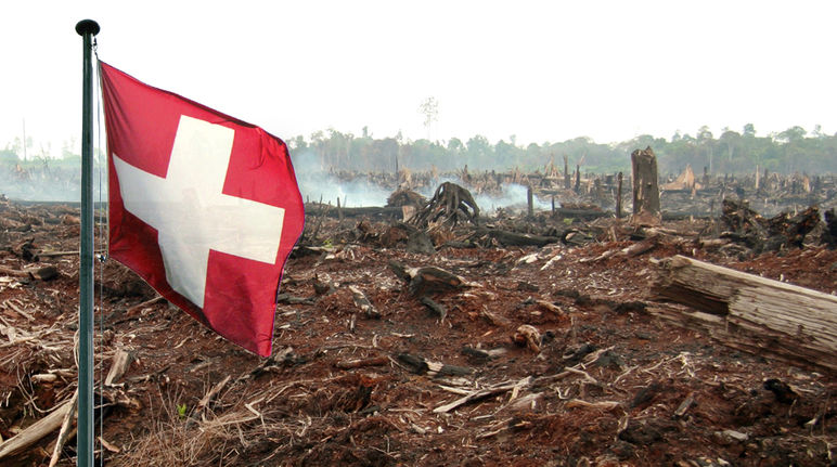 Il governo svizzero dovrebbe rinunciare la libero scambio di olio di palma Foresta bruciata con la bandiera svizzera (fotomontaggio)