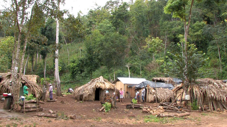 Un accampamento di rifugiati nella foresta