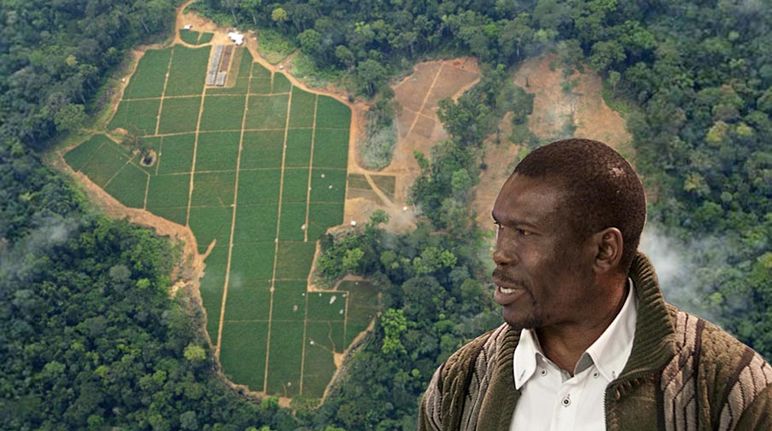Foto: La palmicultrice non fermerà la nostra difesa della natura, dichiara l'ambientalista Nasako Besingi. Foto: Greenpeace / Alex Yallop Deforestazione per implementare palma da olio in Camerun