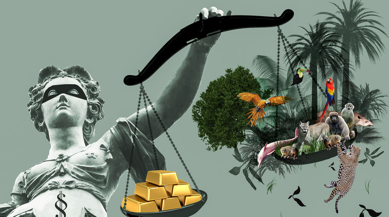 La bilancia della giustizia, oro, foreste: sbilanciamento