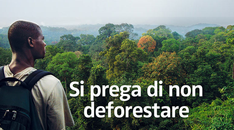 Si prega di non deforestare