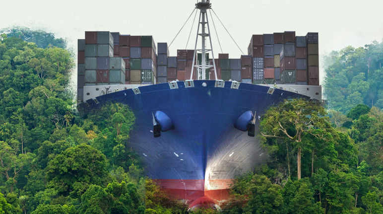 Distruzione massiva della natura per agevolare il libero commercio globale Nicaragua: nave attraversa la foresta