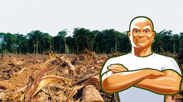 La foresta è già "pulita" (background: iStockphoto; montage: Salviamo la Foresta) Mastro Lindo con le braccia incrociate davanti ad una foresta distrutta.