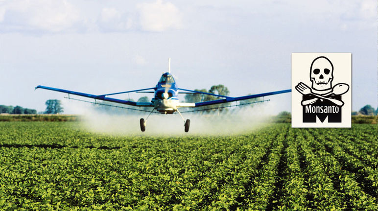 Airplane spraying pesticides over a soy plantation