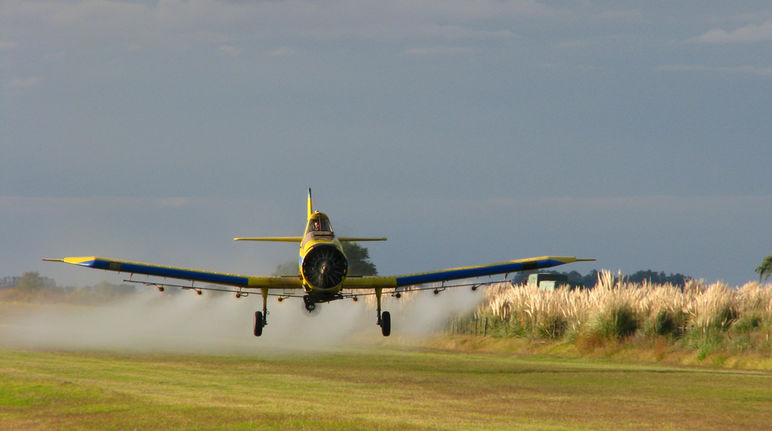 Un areo sparge il glifosato su vaste aree di terra in Nord e Sud America. Un aereo cosparge il glifosato in un campo coltivato