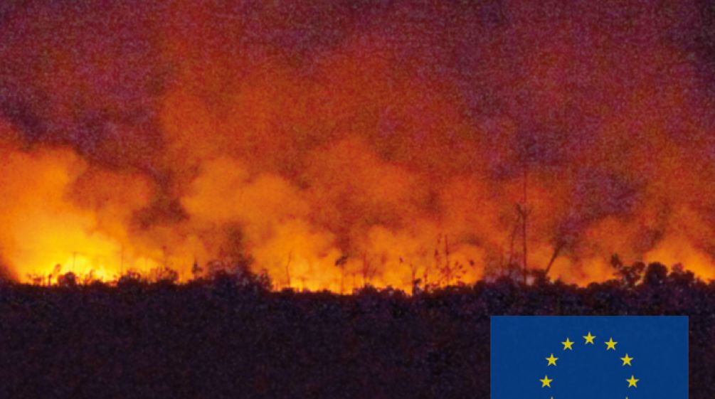 Distruggere per consumare Un incendio di una foresta